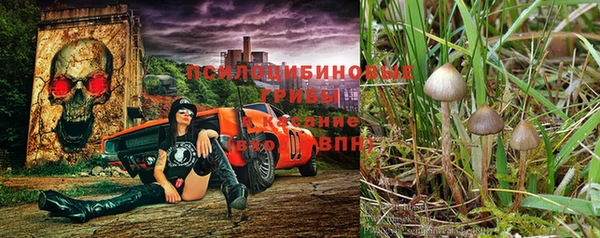 бошки Магадан