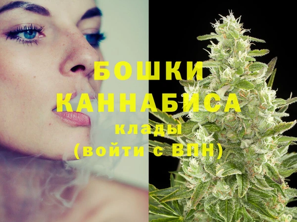 гидра Коряжма